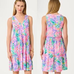 XXL NWT Lilly Pulitzer Lorina Swing Dress in Multi It Was All A Dream